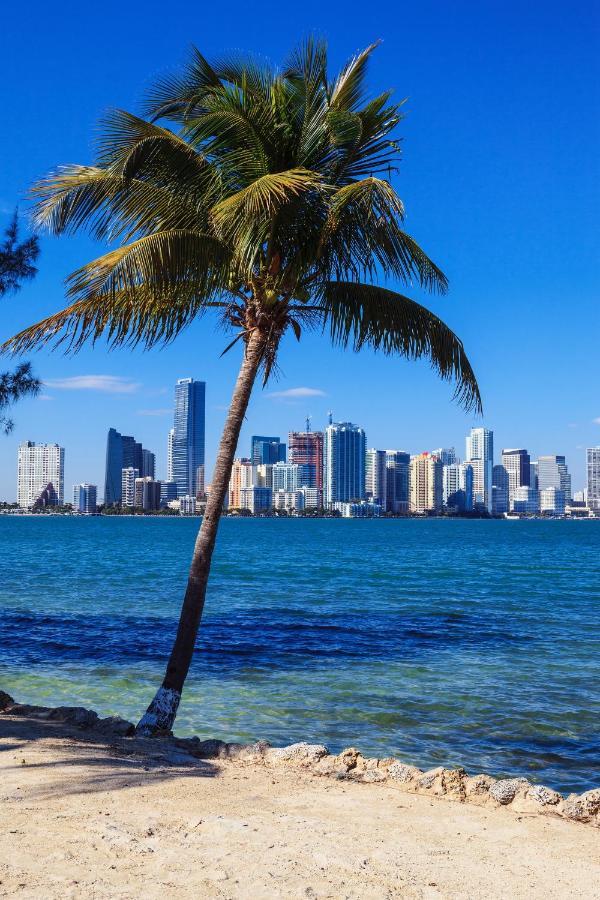 Enchanting Cozy Apartment 10 Min Away From Airport, Calle 8, Brickell, Coral Gables, The Beach And More! Miami Exteriér fotografie